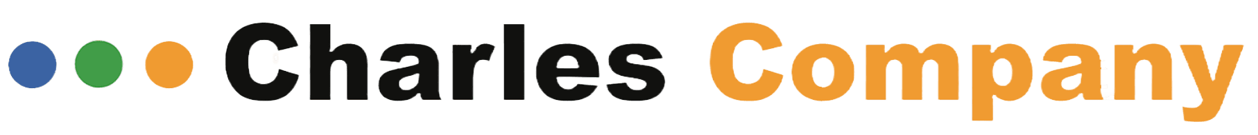 My project Logo with the text "Charles Company" in bold, multicolored dots before "Charles," and "Company" in orange.
